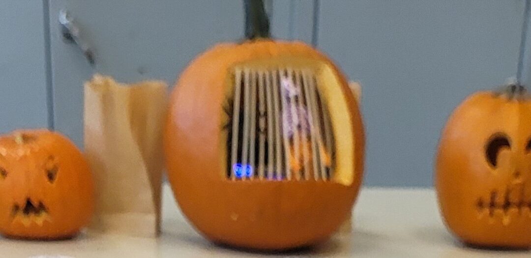 57 Gourd-gous Pumpkins