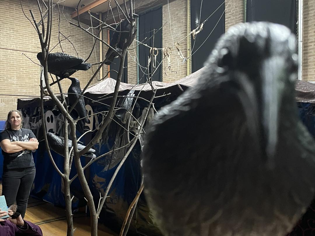 Gym decorated for Halloween with crows and webs